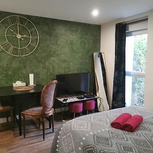 Green Cellar Logement neuf au Centre de Strasbourg