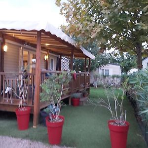Location Mobile Home 6 Personnes A Frejus