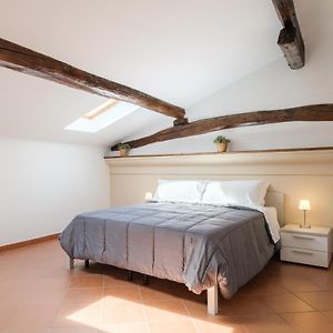 Studio Lit Queen-Size