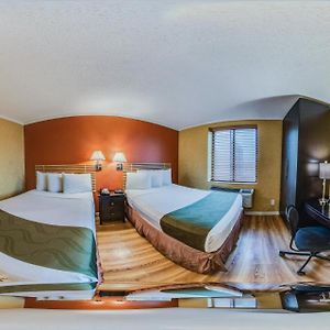 Chambre Standarde Lit Queen-Size