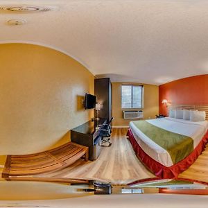 Chambre Accessible aux Personnes à Mobilité Réduite Lit King-Size