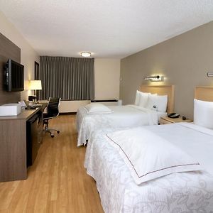 Chambre Améliorée