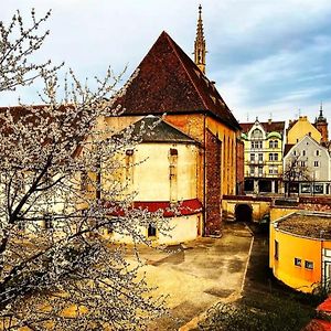 Appartement Charme Colmar Centre