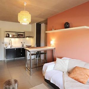 Le Saint Roch 1 - Ac Clim - Wifi - 50M Centre Ville