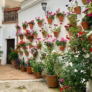 Amal Casa de huéspedes