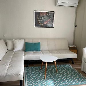 Studio Mexico Saint Raphael