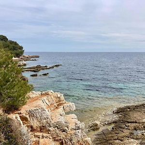 Appartement Centre Croisette Emplacement Exceptionnel