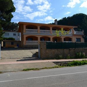 Museu Baixos