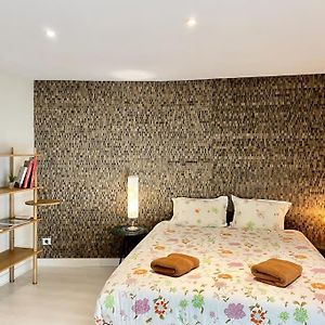 *Victoria Plaza* Loft Au Coeur De Vichy