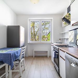 Wiktorska Blue Studio
