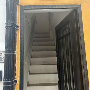 50M Playa Caleta Y Teatro Falla Grupo Ac Gestion