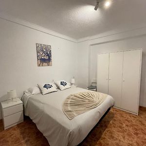 Appartement à 3 Chambres à Coucher