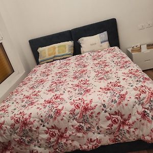 Modern Apartment In Tirana
