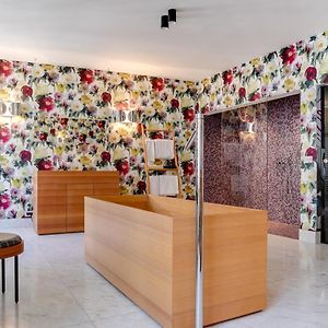 Suite Luxe