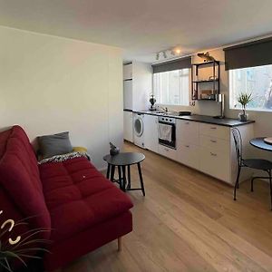 Studio Apartment Reykjavik City Center
