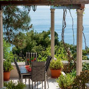 Dubrovnik Seaview Apartment 10 Min To The Old Town