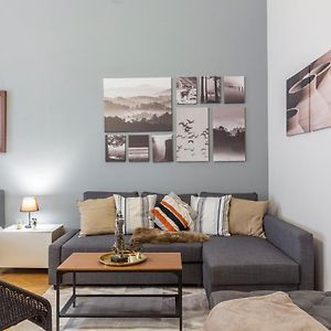 Spacious & Cozy Downtown Apartment With Balcony