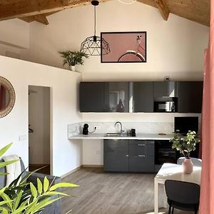 Charmant Studio 1