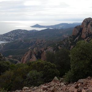 Esterel Terrasses, front de mer, vélos, yoga, Suquet Forville