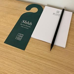 Studio Lit King-Size