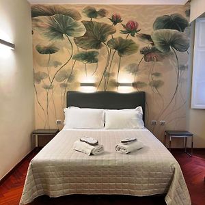 Chambre Standarde Lit King-Size