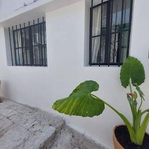 Dar Zwina, Charming And Lovely House