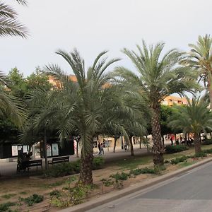 Apartamento En Ani