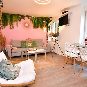 Le Nid Cosy - En plein coeur de Sélestat