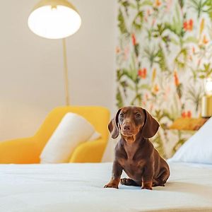 Appartement de Luxe