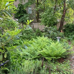 Zentral Gelegen - Stilvolles Appartment In Moabit