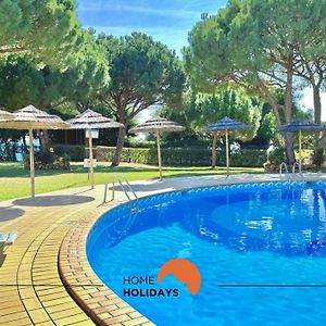 #101 T1 Pedra Dos Bicos By Home Holidays
