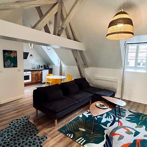 Rhizhome - Coeur De Ville, Appartement Spacieux