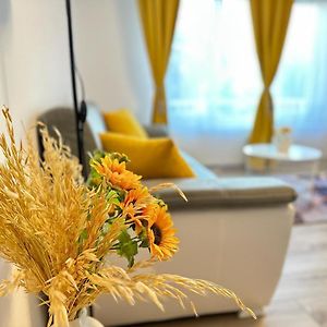 Appartement Studio