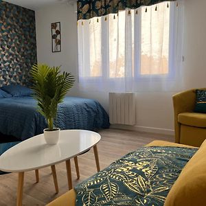 Studio Cosy Avec Terrasse, Proche Chantiers Et Airbus