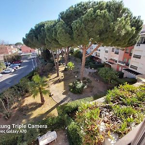Coquet Studio Centre Port Cap D'Agde
