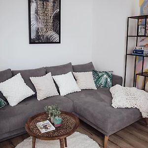 Cozy Dreams: Deluxe 2-Zimmer-Apartment -Kueche