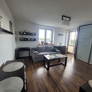 Studio Syreny