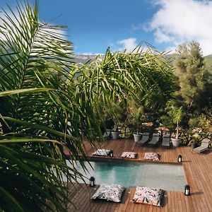 Villa Holistika : Bed And Breakfast / Pool / Air Conditioning/ Mont Faron Toulon
