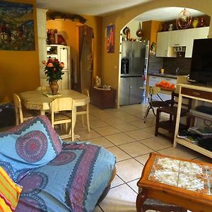 Appartement Tranquille Avec Jardin Et Piscine