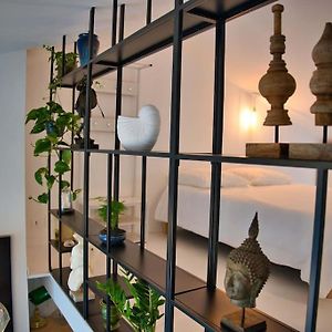 Appartement-Terrasse Centre Historique