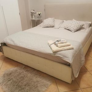 Domus Flavi
