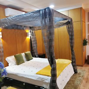 Madeira Loft I - City Center