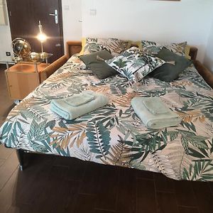 Appartement Rez-de-Chaussée