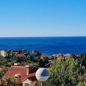 Sunspot Apartment - Beautiful View With Big Garden, Free Parking, Central