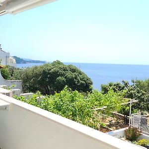 Pearl Of Adriatic 4