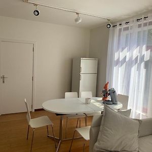 Charming Apartment In Brussels: Great Location For Renting
