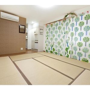 Studio Lit King-Size