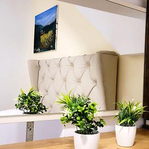 Studio de Luxe Lit King-Size