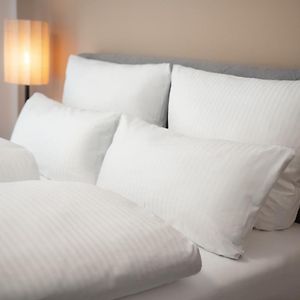 Park Avenue Apartments I Domsuite I Hbf I Netflix I Wlan