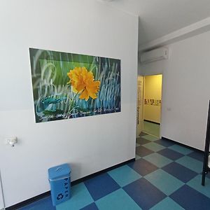 Chambre Juste Pour Femmes Dortoir